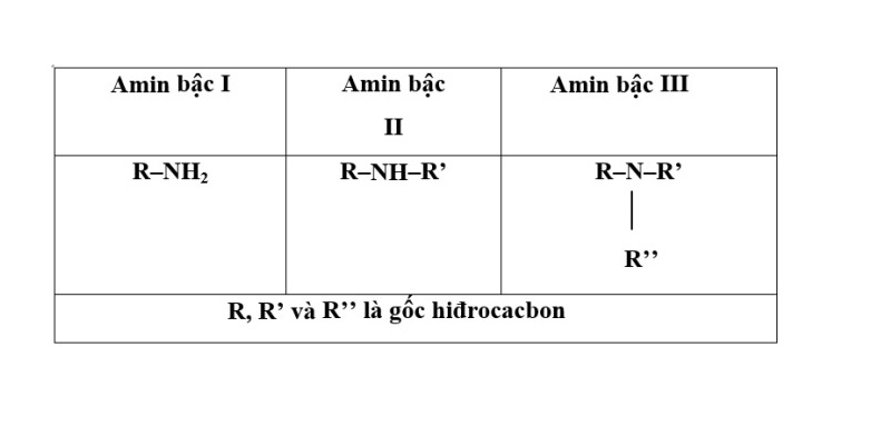 Phân loại amin